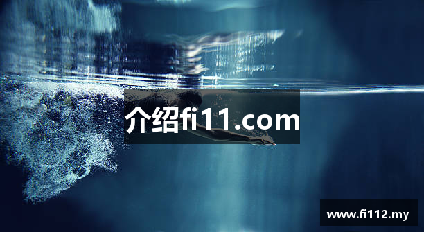 介绍fi11.com